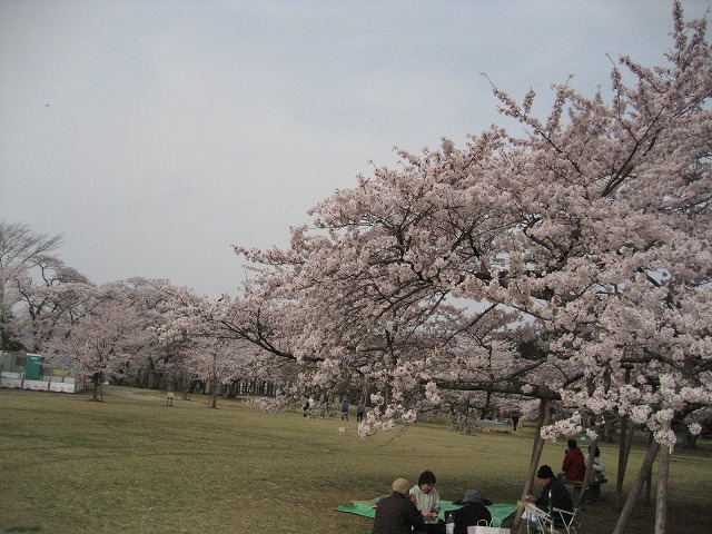 e0106372_20274595.jpg