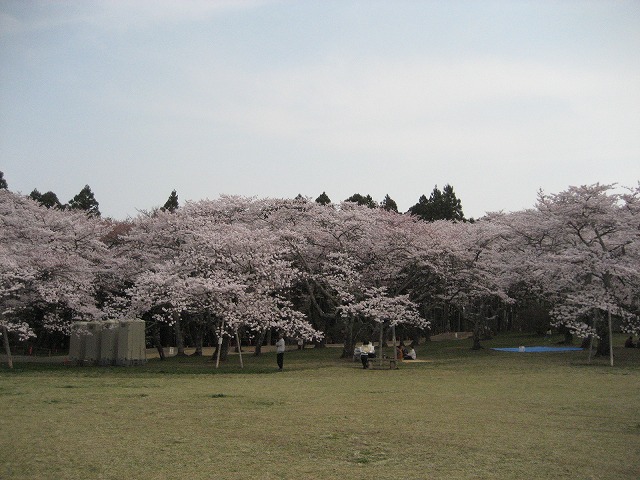 e0106372_2028541.jpg