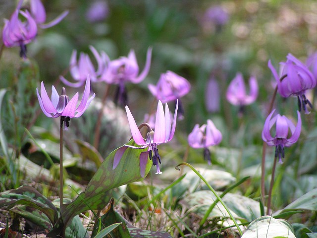b0004675_18341387.jpg