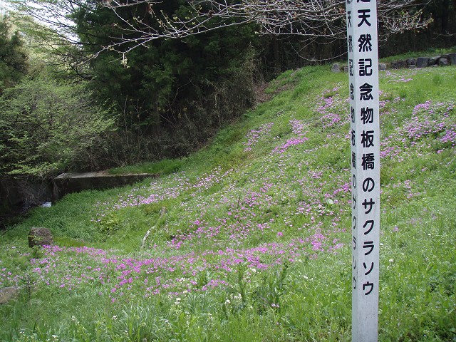 b0004675_18423656.jpg