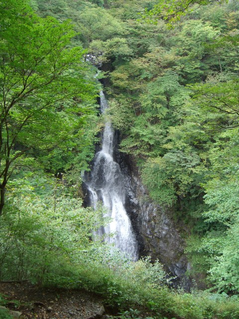b0004675_20232772.jpg