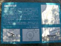 b0004675_237379.jpg