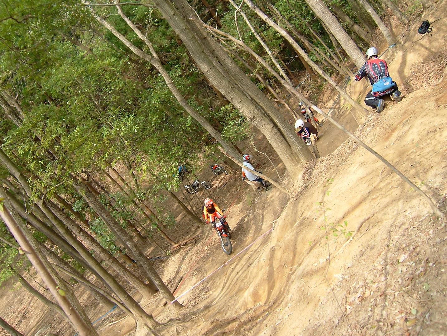 c0136877_20532046.jpg
