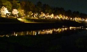 f0119179_1531247.jpg