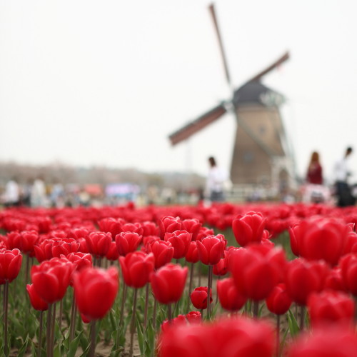 d0110380_22215375.jpg