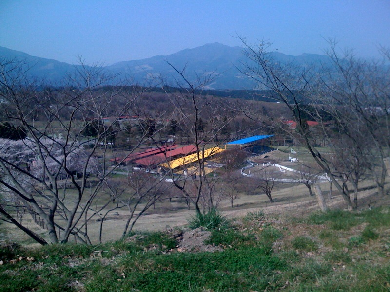 d0044986_2239661.jpg