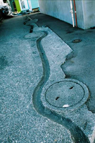 e0051186_8371724.jpg