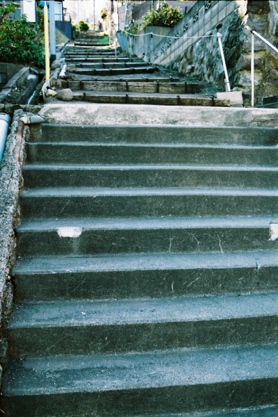 e0051186_837284.jpg