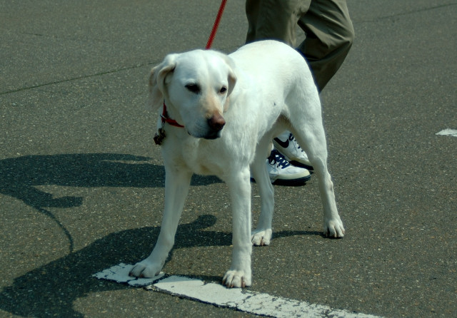 b0169987_21355947.jpg