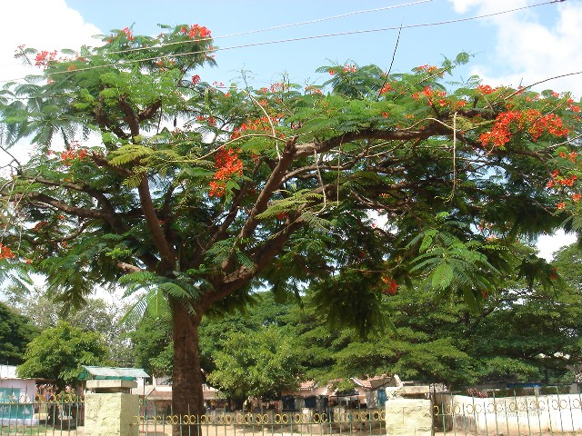 f0138588_1745680.jpg