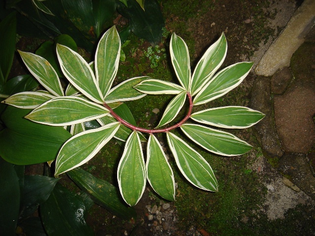 f0138588_17471490.jpg