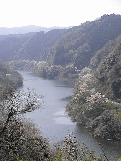 a0118289_18544280.jpg