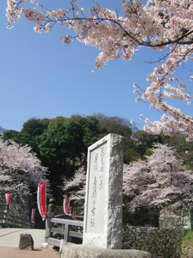c0139591_6334142.jpg