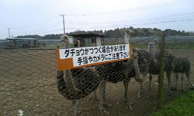 b0029694_22345672.jpg