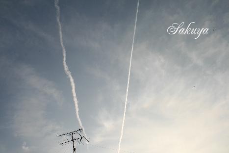 e0122194_21335467.jpg