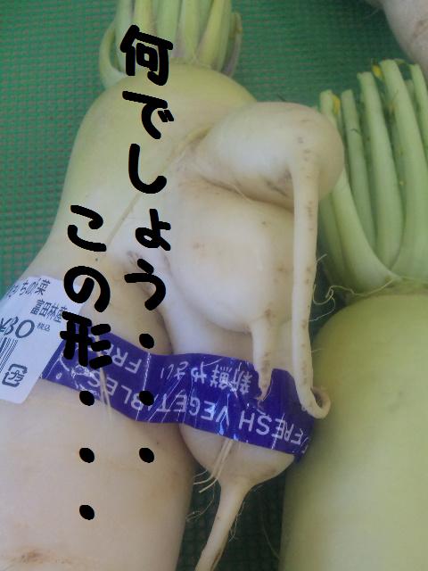 f0180994_152128.jpg