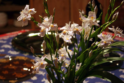 d0100095_18574246.jpg