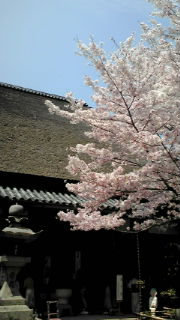 f0125895_15412471.jpg