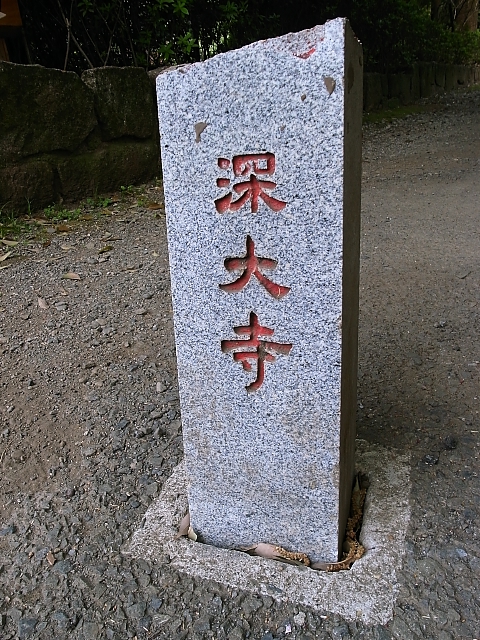 d0081997_2012499.jpg