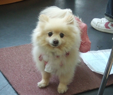 f0077697_20103186.jpg