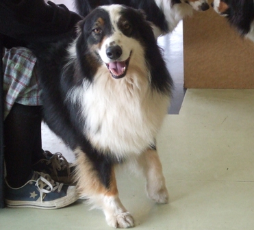 f0077697_20131389.jpg