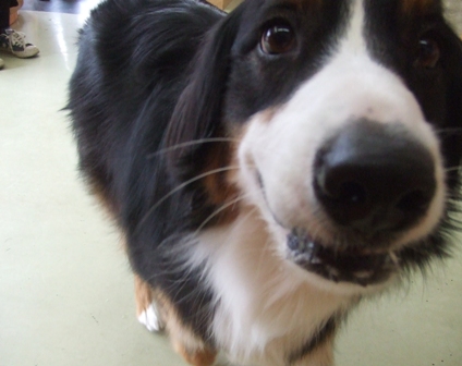 f0077697_201324.jpg