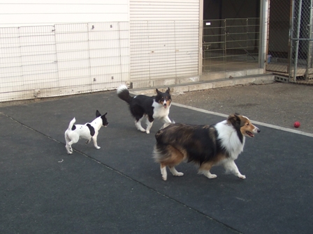 f0077697_20135026.jpg