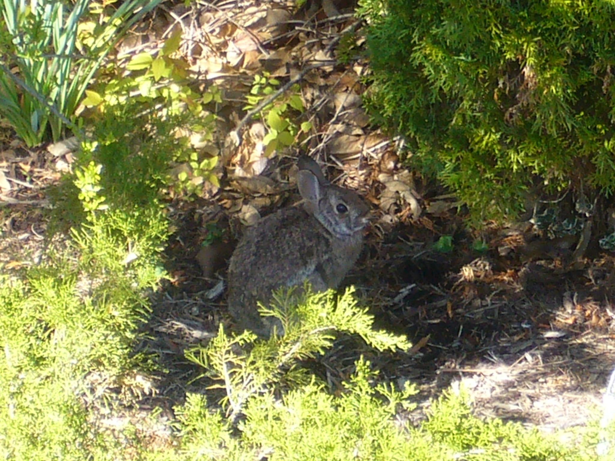 f0169397_8201069.jpg