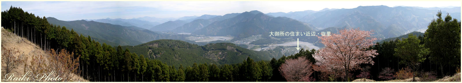 d0035398_654536.jpg