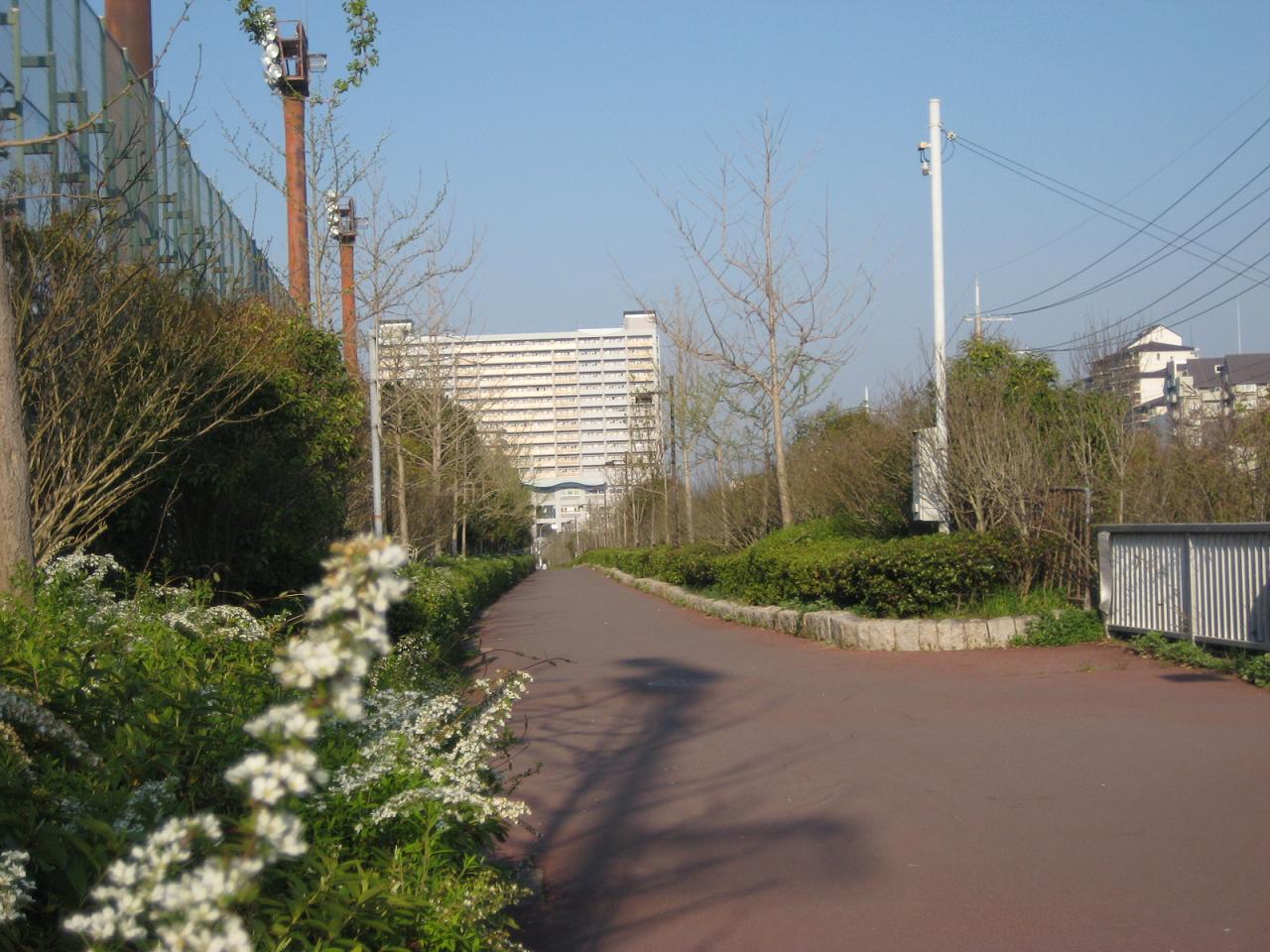 f0013998_17505529.jpg