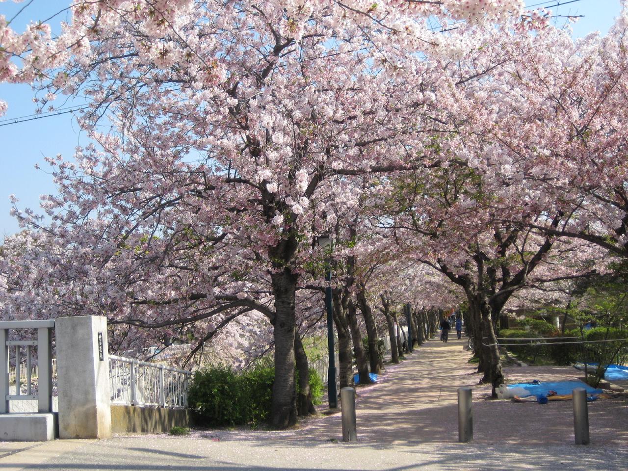 f0013998_17533874.jpg