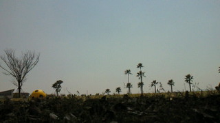 b0009799_544616.jpg