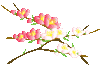f0196199_22414844.gif