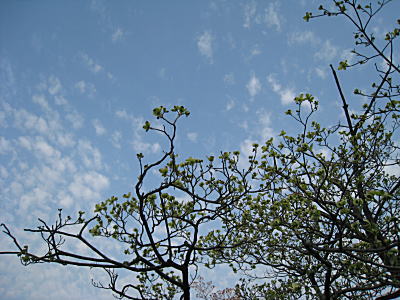 d0046702_125314100.jpg