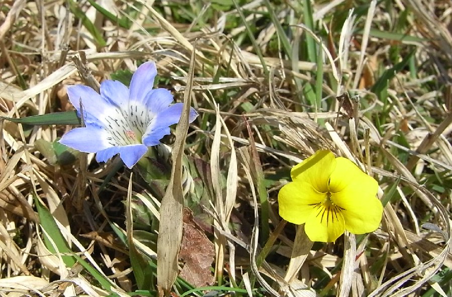 f0187402_17424675.jpg