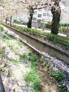 d0023906_1113463.jpg