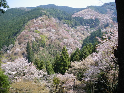 b0052108_035162.jpg