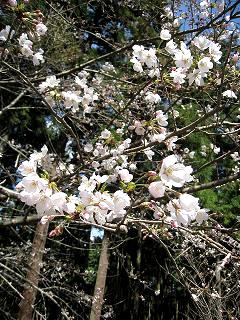 f0040310_11423879.jpg