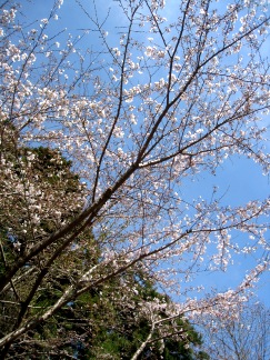 f0040310_11431251.jpg