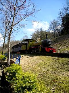 f0040310_11451665.jpg