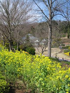 f0040310_11455466.jpg