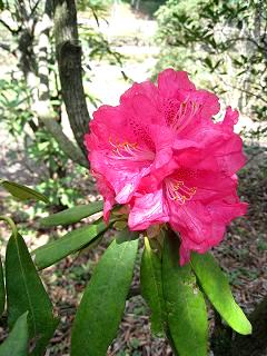 f0040310_11471156.jpg