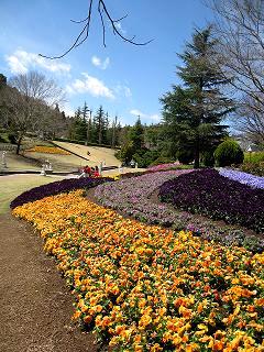 f0040310_11491244.jpg