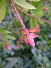 f0133814_8555666.jpg