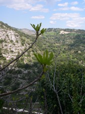f0133814_925175.jpg