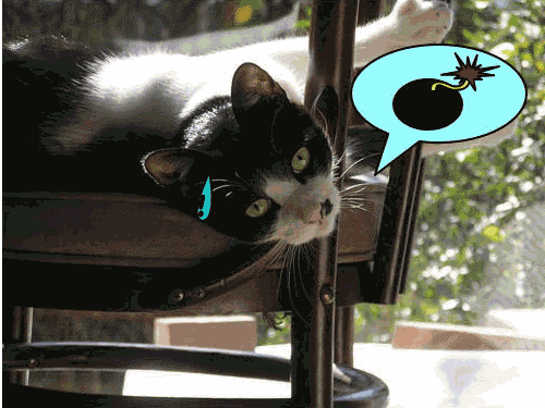 c0158916_2158596.gif