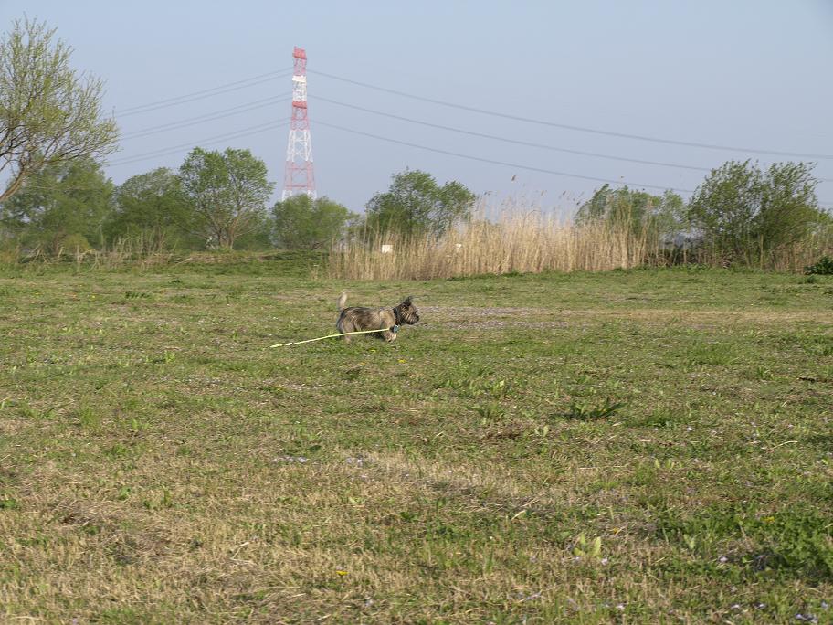 d0127716_19333313.jpg