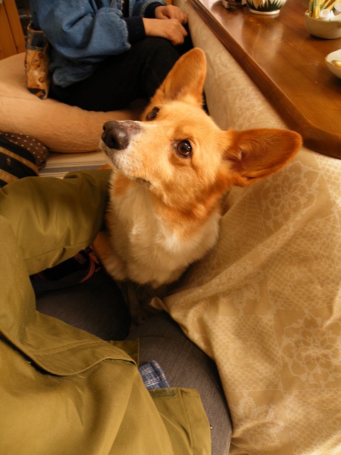 c0127617_1656287.jpg