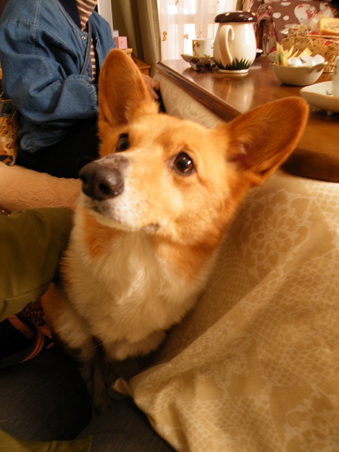 c0127617_1713551.jpg