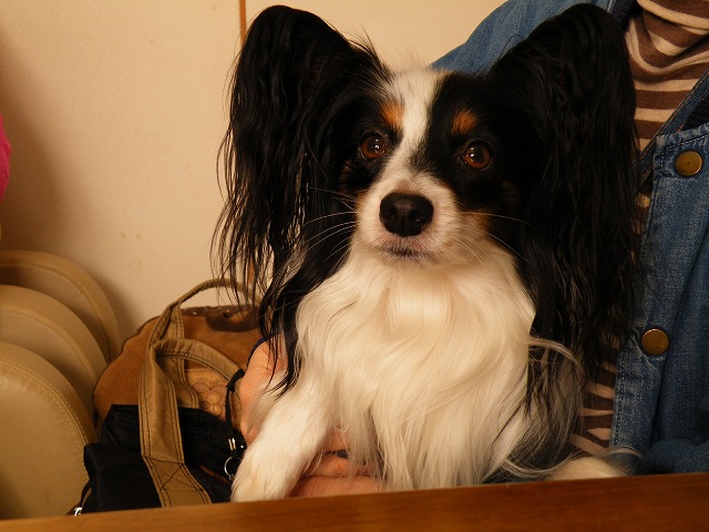 c0127617_1722174.jpg